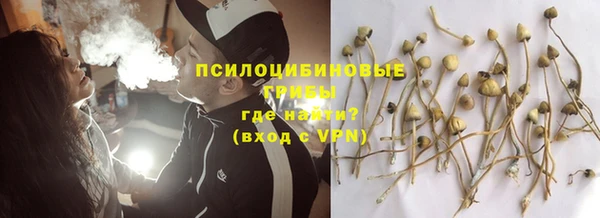 МДПВ Алзамай
