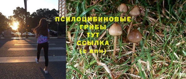 прущие крисы Абдулино
