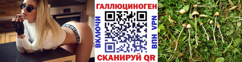 Галлюциногенные грибы GOLDEN TEACHER  Пошехонье 