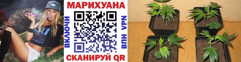 купить  цена  площадка формула  Бошки Шишки LSD WEED  Пошехонье 